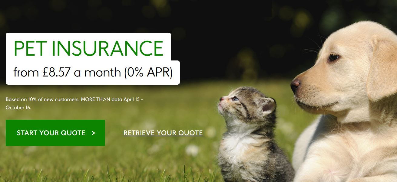 More Than Pet Insurance vouchers homepage