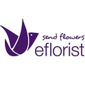 eFlorist logo