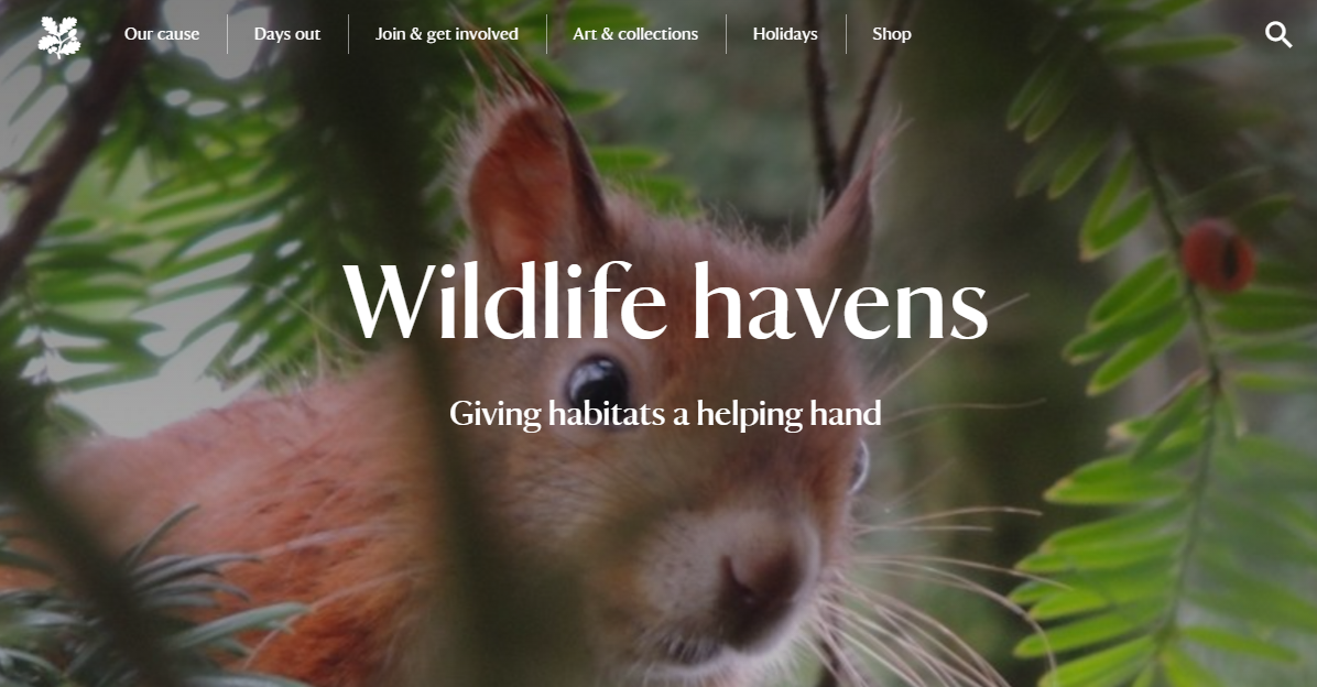 National Trust Membership Offers Page